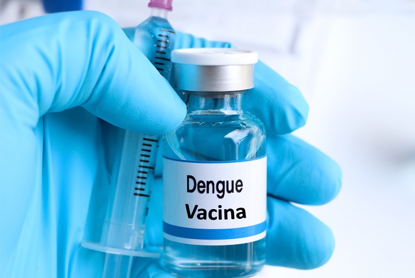 dengue